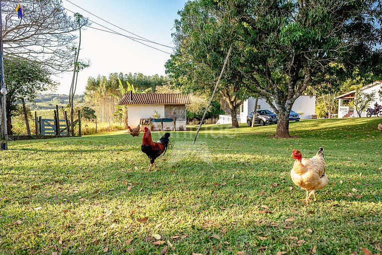 20 mil m² de sítio com piscina e churrasqueira